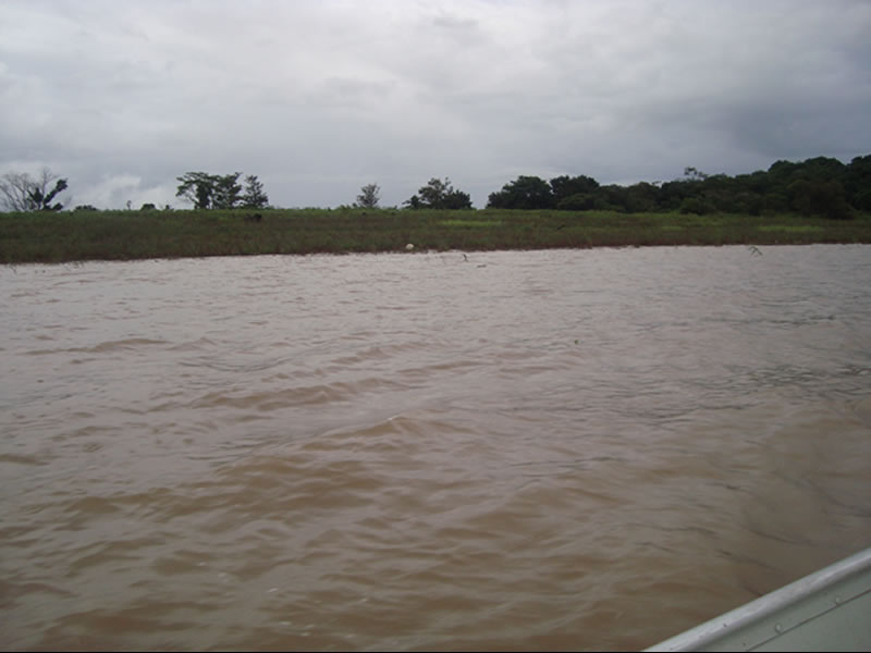 Margens do Rio Amazonas