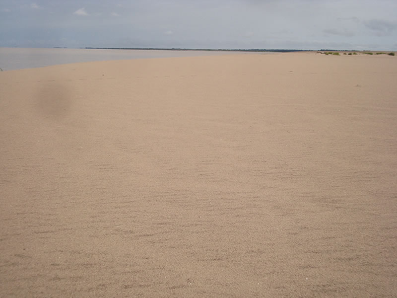 Praia nova no Rio Amazonas. Belezas escondidas nas curvas do rio!