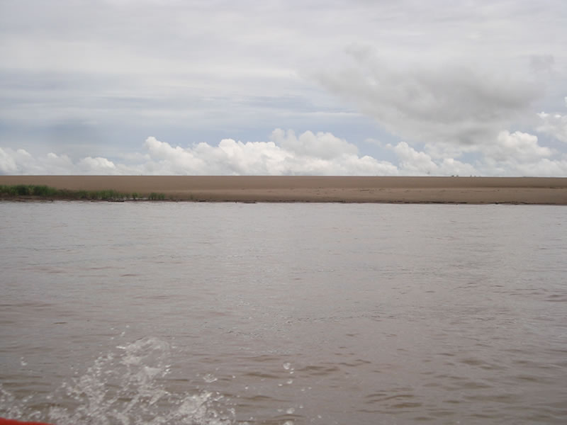 Praia nova vista do Rio Amazonas