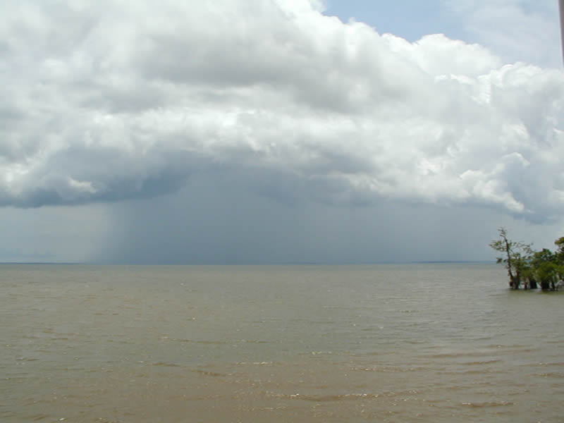 Rio Tapaj�s - Beleza e mist�rio que encanta!