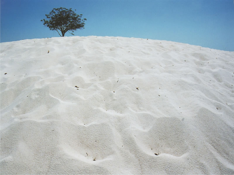 Praia